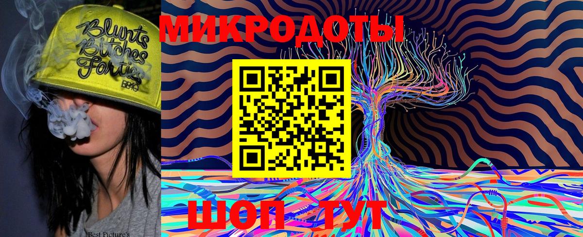 Сертолово  Галлюциногенные грибы Psilocybine cubensis  Вход с VPN 